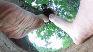 Imagine this. You're shrunk, standing around under a huge tree in a park. Suddenly this giant girl wanders over to you and seems obsessed with stomping all of the shrunken people around you! Even worse, she thinks all of you are bugs! You're so small, you can't even see the other tiny people. All you can do is look around at the huge booming footsteps of this titanic beauty as her feet stomp the ground. Another GREAT 360 VR video to make you feel really tiny! She never realizes they're not bugs!
<br><br>
You don't need a VR Headset to watch our VR videos (but it makes it cooler of course) Instead you can use the free basic desktop viewer on: https://theta360.com/en/support/download/ You can also use Google Cardboard and a Cardboard enabled VR player.