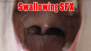 Niles apparently got around a LOT before his untimely demise when Auden forgot about him in her stomach. Take a trip back to another Niles adventure, this time focused on newcomer Raynne! Word had gotten around school that Auden and Niles were... close. So Niles jumps at the chance to fulfill his vore fantasy with someone who isn't his sister. While it sounds like Raynne wants to do this for a school project, her motives seem questionable as the two talk their way through an awkward exchange. Does Raynne have a crush on Niles?

Under the guise of a school project where Niles could even record video of the inside of Raynne's tummy, you'll be treated to mouth views, a look at Raynne's belly from the outside... and then you'll be swallowed down in yet another 3D CGI scene into her stomach! Join in and go on a trip into the belly of our latest model!