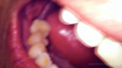 Tiny settlers get devoured

Some tiny settlers invade the territory of giantess Loryelle. She wakes up after many years of sleeping and is very hungry. The tiny intruders and some of their vehicles get devoured one after another. Hear them scream when I chew, gulp and digest them.

This is basically 15 minutes of mouth close-ups / mouth play featuring small figures and vehicles.
Beside the normal close-ups, I’ve used a new microscope camera to do close-ups of my mouth, teeth and tongue.

I’ve used some of the shots from Intruders on Giantess Mountain Trilogy to make this a bit more thrilling and to have some sort of story line. It’s not really part of the trilogy, but more a spin-off.