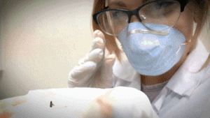 The Experiments - Size Dimension - Ep.3 - Season 1
Starring Jenny Jett - Enchantress Sahrye - Domina Luna

After observing the interactions for a few weeks of the Xanthians with Earthlings, The government has contracted the unethical Matheson Labs to run experiments on the Xanthians to find out what they are composed of. Matheson labs CEO Dr. Carrera calls upon her most trusted employee Dr. Jett to get a sample and analyze it. Dr. Jett excitedly takes on the task. 

Her first subject, a tiny Xanthian named Luna is at her mercy in the lab. Scared and not knowing what is going on, she is forced to strip for her giant doctor then prodded and poked. Is there a chance to escape this new hell she's in? Or will she succumb to an untimely at the feet of her doctor.

Clip Features: Giantess SFX, Sound FX, Music, Aware crush, Unaware crush, 1x Vore, Gore, Hand held, Shoe crush, Barefoot crush, nudity, forced stripping .