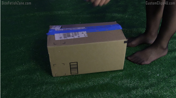 FIRST PART: Keri is outside when an anonymous package arrives. Inside she finds something resembling a toy gun alongside a manual stating that the gun is a shrink ray. She reads the manual that states that by pulling the trigger a random country on the planet will be shrunk. Excited at how this will work Dee decides to pull the trigger. Suddenly a tiny vehicle appears in front of her feet.  She takes a closer look to check what kind of vehicle it is. Seeing that there are two policemen inside, she asks them where they come from. The only thing she understands is that they are japanese.  She then can decide how to react to the situation: whether to try to bring them to their normal size in Japan or tease them and then crush them or eat them or keep them.
<br><Br>
SECOND PART: After that while she's walking away she hears a crunching sound under her foot. She checks what she has crushed and she sees some some black and red dots stuck under her soles. She takes a closer look on the floor where at her surprise she realizes there are many tiny cities all over the place with tiny vehicles in the roads between the buildings. She also sees multiple red flashing lights  in the traffic. Realizing that they are probably the police like the one in the first part, she decides to pick them up with her fingers trying not to crush them to check if all those cities shrunken were actually Japan. After getting a confirmation by them, she can decide how to act. She can start being playful with all of the tiny cities, walking in traffic or just go straight rampage. She can also eat them. She should be most of the time standing or walking, only when necessary crouching. She could walk with her back arched forward to see where she is placing her foot when walking.
<br><br>
LAST PART: In the end the entire japanese police force shows up (place countless tiny red dots lumping them up in one spot with some of them in front of the rest). She gets near them by walking towards them. She sees right in front of her toes they brought the tiny swat teams in front of the rest of the police force. 
Then in front of her eyes some tiny planes appear. She at first thinks they are bugs but then she realizes they are swat planes trying to get her attention. She hears them stating that she should bring them back to normal size with her toy gun. She can decide whether to finish her little fun she had by bringing them back to normal size in Japan or to dispose them. In the latter case she can blow the planes away or breathe them in with her mouth and step on the police force on the ground with her foot or play with them and tease them.
<br><br>
As described above the people cars and cities are represented by tiny dots and gems. The only FX are booms, city sounds and Planes when they attack her