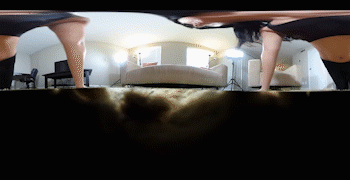 *PLEASE NOTE: THIS CLIP IS SHOT IN VIRTUAL REALITY. YOU MUST HAVE A VR HEADSET TO VIEW IT.*
<br><br>
This is a purely voyeuristic perspective of giant woman Lucy Purr doing her daily exercise warmup routine. Your convenient size as a bug and spot on the fluffy carpet keeps you completely off her radar. You hold still as she stands right over you in her yoga pants and sports bra. She stretches arms overhead and then bends down to each side. Next she does her first set of squats over you followed by push-ups, before removing her pants down to her panties, and doing the same thing again. As she's removing them, she is sure to hover her big feet over you for several moments. After she's done her second set of squats and push-ups, she gets a phone call and absentmindedly keeps her foot directly above you, giving you a great view of all the fuzz and lint on her soles. 