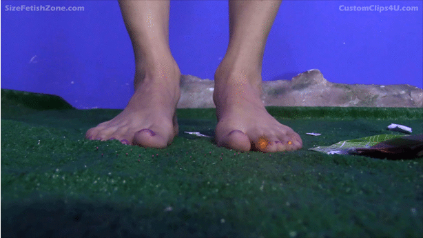 LET THEM FIGHT!

OK, So this is not really much of an unaware video.  It is the Conclusion of the two other Previous Unaware Videos.  The Aliens from the Planet Micropolis are at war with the Planet Minitopia and in part 1 they took over a Human host with the plan to destroy Minitopia but Minitopia found out and went to earth to get a Giantess host of their own in part 2.  Part 3 opens with about 1min of recap of the last 2 parts then 3min of tiny Minitopians getting crushed by Jamie then Keri shows up and Final Battle begins. The rest of the video is a MEGA Giantess battle like no other.
