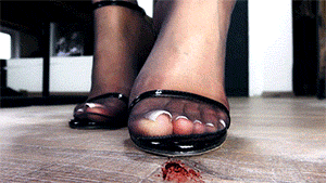 <strong>Please note:</strong> This clip contains some explicit crushes of tiny men under high heel sandals and nylon covered feet.
<br><br>
<h4>Cruel Woman Crushes Her Shrunken Co-Workers</h4>
Bad day for Loryelle's office co-workers who have harassed her. They got shrunk and it's Loryelle's greatest fun to hunt them and squish them beneath her high heel sandals and nylon covered feet like nasty bugs. They beg for mercy, but cruel giantess Loryelle isn't in the mood to spare their tiny lifes.
<br><br>
Loryelle gets hot, when she crushes her tiny colleagues. She enjoys to tease them before crushing them with her huge nylon covered feet. She wears nothing under her very transparent black pantyhose, so her victims can imagine how her pussy looks like before they die under her soles or toes. The french manicure and pedicure makes her gigantic hands and toes very attractive, the perfect weapons to kill her hated co-workers.
<br><br>
<h4>Twisted Out Like a Cigarette</h4>
First she crushes one of her colleagues, who has been shrunk down to a size of approx. 2 inches with her black high heel sandals. Before the final crush she teases him with her toes and heels. She rises her foot and puts it down on the tiny man that is begging for mercy and then she twists him out with her foot. At last Loryelle slowy swipes her shoe back, leaving a small, thin strip of blood on the floor. All that is left from her colleague is his smashed body in a blood stain.
<br><br>
<h4>Slow and Fast Crushes</h4>
After squishing her first victim Loryelle notices two further co-workers, who try to escape. But they have no chance. Giant goddess Loryelle walks straight ahead to crush them. The two tiny guys stand anxious in a corner with no chance to escape Loryelle's gigantic feet. They pray to her and beg for re-enlargement. What a fun and pleasure for mean Loryelle. The first one gets crushed very slowly under the eyes of his friend. The second one gets smashed within a second. All that remains are two squished tiny bodies and two stains of blood.
<br><br>
<h4>The Ulitimate Cruelity?</h4>
Another co-worker shall lose his life. But now Loryelle won't take care of humanity. First she teases him with her high heeled feet. Then she crushes him many times, twists him out. That is not enough. Loryelle wants to see more blood and humiliation. She tears his body into two pieces. One part remains under her titanic foot, the other part gets squished by her gigantic fingers.
<br><br>
<h4>Time to Get Rid of the Shoes</h4>
Before she puts off her second sandal she crushes another tiny man, while his colleague cries for help. Now it is time for a nice and brutal toe crush. Said and done, mean Loryelle teases her co-worker with her gigantic big nylon covered toe. Then she crushes him once and once again, until nothing more is left than a blood stain.
<br><br>
<h4>The final Cut</h4>
If you think you have already seen the ultimate cruelty - you are wrong. Now gigantic Loryelle has a devlish plan. She wants to crush her last remaining colleague in a very cruel way.
<br><br>
She teases him moving and wiggling her pantyhosed toes and toenails on his tiny body. Then she crushes and breaks one of his arms under her pantyhosed foot. Then she crushes the other arm too, before she slowly crushes his legs until they break.

He is still alive screaming in pain.

She rises her pantyhosed foot up and puts her sole down on him very very slowly, softly putting her pantyhosed foot on his body and then making more and more pressure while he screams with his tiny high shrill voice. When his body disappears under her sole she starts grinding him into the floor.
<br><br>
What a great day in the office for mean giantess Loryelle.
<br><br>
<h4>Shrunken Men Crush</h4>
The clip contains many POV scenes and a lot of explicit and bloody special effects crush scenes. I wear a black dress, black high heel sandals, pantyhose with noting under it, nylon covered feet with french nails.
This clip was a custom clip. If you loved "Loryelle’s Five Steps Up the Career Ladder SFX" You will enjoy this one, too.