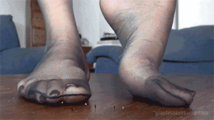 <h4>Shrunken Theatre Group has to Suffer at Giantess Stockings</h4><br><br>
It took me several years to built up a theater company,
just to find out, that I’ve wasted my time. No one in this group is interested in acting. Every single one of them follows his own mostly corrupt or illegal activities and uses this  group just for cover.<br><br>
I’m not willing to tolerate this any longer, so I decide to shrink everyone down to 1/4 inch and put them together on the table, so they can’t escape my giantess stockings. I punish them with my huge smelly nylon covered feet. I tell everyone, why he deserves his fate and squish him or her under my huge, smelly, nylon covered feet or stinky bare feet. My building sized toes have an easy going to grind those puny guys into the ground while the others have to watch helplessly. I have a lot of fun, being the evil giantess and wiping out these tiny lifes. Hear them scream in panic, as they know that they will be next.
<br><br>
Giantess Stockings, SFX and POV<br><br>
You may expect many crushes of tiny 1/4 men and women by my nylon  stocking covered feet and also some with my bare feet in beautiful close-ups. This is mixed up with some POV shots, showing how it looks like to be stepped on by me.

Language: english voice-over