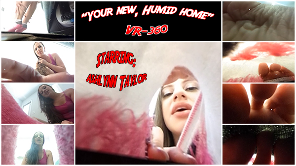 You just couldn't let go.
<br><br>
Even though it's been a while since Ashlynn broke up with you, you just couldn't let go. her perfect feet and alluring toes kept haunting you. desperate times calls for desperate measures...you actually managed to shrink yourself, and now you might be able to creep on your beautiful ex-girlfriend's toes without her noticing you...
<br><br>
Unfortunately (or fotunately...) for you, she does find you...your foot-fetish got you into a real trouble now! As much as Ashlynn despises you, she is quite amused, and might wanna have some fun with you. you want her feet so much...what do you think about being dropped INSIDE her sweaty, stinky sock...with her toes for company, and her voice encouraging you to jerk off your throbing cock? a nightmare...or a dream come-true?
<br><br>
Ashlynn taylor is just amazing. grab this video and your VR-helmet, and enjot the ride!