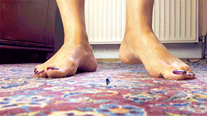 <h4>This is Part TWO only!</h4>

<h4>Mini Giantess, don’t mess with Giantess Loryelle</h4>

<p>A local construction company has the order to refurbish my attic. When the half work is done, the female boss of the company tells me, it will cost about 50% more, or they won’t finish the work.</p>

<p>What she doesn’t know, I’ve already expected such a trick, as I’ve heared rumours about this company before. I have an own construction company and I don’t want her to harm the good reputation of the local industry any longer. So it is time to shrink the boss and all of her employees for a hostile takeover Loryelle style. ;-)</p>

<h4>Part ONE – Intense Foot Worshipping of my Giantess’ Smelly Feet</h4>

<p>Not included in this version.</p>

<p>Find out more about Part ONE or get the COMPLETE Edition with both parts included. All versions available in this store.</p>

<h4>Part TWO – Many Foot Crushes on the Floor</h4>

<p>After the excessive foot worship, there are still some survivors left, which I blow down from the table. They are now on my carpet, which I call my “hostile takeover arena”. The poor tiny guys have the choice to either join my construction company or fight for their tiny lives against me. If they manage to overwhelm me, I promise to let them free. The half inch men obviously have no chance against my mountain sized feet, so I squish one after another and twist them out with my giant sweaty feet. It makes me so hot, that I can crush those shrunken men so easily, that I can’t stop. So I step on almost every single one of them for my personal enjoyment. Only two of them have the honor to get devoured by me for curiosity.</p>

<h4>A lot of Feet and a bit of Vore – Which Version should I get?</h4>

<p>The full story is 40 minutes long, so I’ve split it up into two parts. Now you can decide, if one part is enough entertainment for one evening or if you want to enjoy the full story for a lower price per minute.</p>

<p>Part ONE on and below the table.  You will enjoy it, if you like to see intense foot worshipping performed by tiny guys and a mini giantss. Some tiny guys worshipping my heels, climbing my wrinkled soles, crawling around my toes, some barefoot squishes, a finger crush and two vore scenes, plus a mini giantess.</p>

<p>Part TWO on the floor. You will enjoy it, if you like to see many barefoot squishes, stomping and twisting out tiny men. It also contains some POV shots of my giant feet coming down on your little face and two vore scenes.</p>

<p>Complete Edition is Part ONE and Part TWO combined. It has all the good stuff in it.</p>

<p>Get your preferred version now!</p>