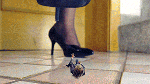 <strong>Not for the faint-hearted!</strong> This clip contains some of the cruelest and bloodiest crushes of all my productions. 
<br><br>
<h4>Secretary Crushes Her Shrunken Boss</h4>
<br><br>
Loryelle is secretary in a large company. She is on her way to the archive, where she has to do some research. When she reaches the archive’s door, her boss is already waiting for her to persuade her for a date. Loryelle doesn’t want to go out with this moron, but he doesn’t accept a no.  He blocks the door and gets obtrusive.
<br><br>
Loryelle has enough of him and shrinks him down to 3-4 inches. She taunts him with her patent high heels while laughing at this tiny idiot. Now he is less macho and a lot scared. The shrunken boss begs for his life, but Loryelle has too much fun, to turn him back normal again. After teasing him a while, she squashes him and twists him out like a cigarette, until he is nothing more than a bloody mess under her patent high heels.
<br><br>
Loryelle looks around and finds a shrunken co-worker. This one has got really small. He’s only a 1/4 inch tall. Killing her boss by stepping on him, turned Loryelle on. So she decides to continue her cruel game. Because of the little size of her shrunken co-worker, she decides to remove her shoes, so that she can feel his little body burst under her nylon covered foot. She gently presses the little man down to the floor with her giantess’ big toe again and again, until his blood squirts up. Torturing the tiny helpless man under her big toe turns her on. Finally she lifts him up to roll and squash him between her fingertips.
<br><br>
Loryelle discovers another shrunken 3 inch sized co-worker who was hiding behind a plant pot. First he tries to run away, as he has watched helplessly, how Loryelle finished off his colleagues, but he has no chance. First she teases him with her huge, nylon covered foot. Then she crushes his legs under her nylon covered foot several times. Poor guy. He tries to crawl away and begs for his tiny life, but the end is clear. So she stomps with full weight onto his tiny body, until he’s nothing more than a bloody mess on the floor.
<br><br>
That should have been all eyewitnesses. Loryelle grabs her folder, ready to enter the archive as suddendly a manager sneaks up to her from behind.
He and his companion want her to do some extra work. They often come along with some unpaid, lame extra tasks for her, but this time they will regret it.
<br><br>
Loryelle has enough of these sponges. She shrinks them both down to a 1/4 inch. She removes her pantyhose and taunts and teases the little guys with her beautiful, huge red polished toes.
Again she humiliates and laughs at the little guys. She crushes one with the ball of her foot, while his colleague has to watch, before he gets squished under Loryelle’s big toe as well.
<br><br>
No one else is left, to block Loryelle’s career now. Several days later, she becomes C.E.O. of the company. The clip ends with a funny surprise crush.
<br><br>
The clip contains a lot of POV and some of my most effortful special effects  crush scenes. I wear a secretary outfit, black patent high heels, pantyhose, nylon feet and bare feet with red nail polish.
<br><br>
This clip was a custom clip, very loosly based on the well known Benny Hill clip, in which he shrinks down and gets crushed by his secretary.