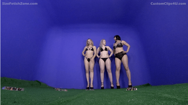 Another Master has emerged and he wants vengeance on all who wronged him and he is doing his predecessor with 3 MEGA giantess ladies this time and Lydia, Vonka and Vivian do a great job bringing on the next apocalypses. Ass, Cleavage, shoe and feet crush, grinding, pov views 

Keywords: lydia , vonka , vivian , feet , crush , booms , shakes , cleavage , ass , shoes , mega giantess