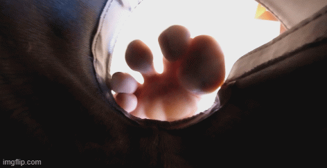 You are shrunk on crazy Cassandra's bedside table. She watches you as she bounces up and down on the bed. Then moves you to the floor, where she teases you with her stockings. She takes one off and sticks you at the bottom of her black combat boots. Watch as her bare toes come to trap you inside. But then she takes you out and sets you on the floor. Threatening to crush you under her boots. She decides to smush you into her boobs instead. VR4K