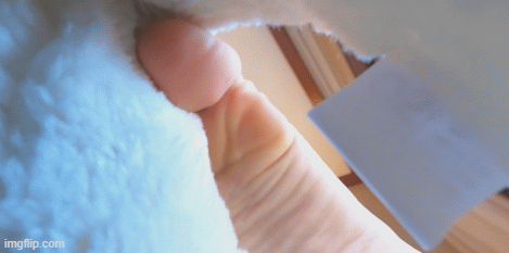 Giantess Cassandra has a pair of fur-lined boots, and she wants you to see them close up. Clip starts with you on the table, with Cassandra's massive fingers drumming the glass in front of you. She picks you up and sticks you in the boot. First, she lowers her sock-clad foot inside. Then decides it would be better to remove her sock and trap you in between the fur and her bare foot. She repeats the process with the other boot, before you are flattened inside. Lots of talking in this one. Cassandra is wearing glasses throughout. VR4K