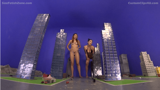 I would like to have a video with Fina snd Onyx where they destroy one of your cities. I want it to be most natural. No Boom or Shake FX and just use props like plastic people and cars. It is ok to use some FX for ambient city sounds and other background sounds. I would like them to catch a passenger plane and teas the people and maybe a few FX from inside the plane and also a simple quick army attack scene, The rest is up to them and how they decide to dispose of the city.


Keywords: goddess fina , princess onyx , crush , giantess , building destruction , feet , booty