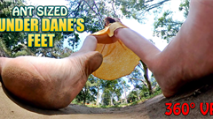 Dane is just out for a walk in the park when she spots you at shrunken size. Wandering over her booming footsteps are unnerving. What's more unnerving is when she calls shrunken people like you "ant people" and explains that she likes you crush them between her feet! Lots of great views throughout this one that you can watch again and again to catch all the action going on around you.

This is the high bitrate version if you absolutely need the very best quality. However it is quite a big file size. The regular edition is much more manageable if you're just copying it to a VR device.