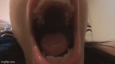 You are hiding in the urban jungle of Olinka's apartment... she is hungry and can smell a tiny from a great distance.    She spots you and places you on her counter... where she threatens to eat you like a prehistoric carnivore.   You are lying on your back as she lowers her mouth, lips and tongue to you... showing off those monstrous jaws which can chew you up.   VR4K