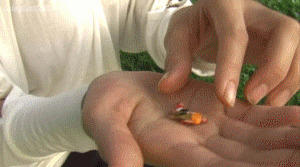 The second part of a story featuring Sinthia. A group of people got her kicked out of the mall, so she has captured them to torment in the park. Two have been squished under her feet and the other two are still trapped in her hand. Sinthia decides to make them drown in her saliva but accidentally swallows the first. After toying with the second one, she too is swallowed down. Sinthia then relaxes knowing that she won't have any more problems at the mall now. This video can be enjoyed on it's own and is almost five minutes long.
