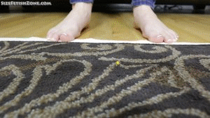 This was a custrom and This man is shrunk to super tiny size and Cadence is making him her worhiper and she taunts him with her giant hands, The video opens with him at her feet, I got some Macro shots so can ee it up close as well.
