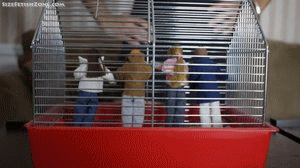 This was a Custom Sahrye is mad scientist who created a shrink ray. She had shrunk four people and left them in a cage (one of them a couple). She went to go out to shrink more people so she can do experiment on them and the remainders sell them off. The little people had some how escaped and trying to get help. Sahrye comes in and finds out that the little's are gone. Angrily she searches the house to look for them. She finds one of them (the female doll) and goes to look for the remanding three. One of the males (the one with a girlfriend) is infatuated with Sahrye (especially her feet) and cannot stop looking at her and she is holding the shrunken prisoner in her hand looking around the house. Sahrye finally decides to take her shoes off to be comfortable and then takes the female dolls's clothes off. She then licks the little doll's breasts and licks between her legs, getting both her and the little woman all riled up. Looking to see if any of the men come out, she spots the male doll peering out from the (couch, chair, door, doesn't matter) and goes to pick him up. She notices he has an erection, so she pulls down his pants and licks between his "crotch" to tease him." She puts them back in the cage and let's them have sex. She then goes looking for the next two. She's them talking under a table (coming up with an escape plan). She then sits down carefully and puts' both of her feet on top of the female. She drags her a little closer to her. She tells the little man that if he doesn't do what she says she will crush her under feet. Sahrye's feet are gentle on top of her but she won't hesitate to pressure. She notices how cute the little man is and also notices how badly he as foot fetish. She then picks him up and his girlfriend from under feet. They then go inside. She picks up the female and puts her in cleavage. She then tells the guy that he is going to be boyfriend whether he likes it or not. She kisses them and licks him. She then takes him, facing the camera and puts her big toe (or between her toe) between his legs. She comments saying how her big toe (or toe) is his dick and let's him ride her toes for a little bit.She then lifts him up (still facing the camera) and takes her two fingers holding his arms, while still on her big toe or between her toes and rubs it her toe between his legs, going really fast. When he cums, she says "good boy" and then gets up. She puts both of them in the cage and goes back out to try to shrink more people.
