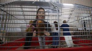 This was a Custom. Meagan is mad scientist who created a shrink ray. She had shrunk four people and left them in a cage (one of them a couple). She went to go out to shrink more people so she can do experiment on them and the remainders sell them off. The little people had some how escaped and trying to get help. Meagan hunts them all down and plays with them with her feet and cleavage and mouth.
