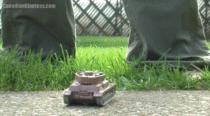 Heather finds a group of tanks in her friends backyard. Before they can cause any damage, she decides to crush them under her bare feet. She makes short work of them one at a time, focusing on using her heels to smash each tank. Contains a few short POVs. Heather slips on her sandals in the end, kicking around and walking over the three tanks remains as she walks off.
