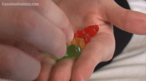 Hailey has shrunken down the lead cheerleaders and eats them one by one. It's all hard vore as each one is chewed up with her mouth open. In the end Hailey is laying down and rubbing her tummy, still feeling them squirming around.
