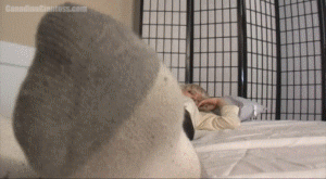 Cake is resting in bed and you decide to explore her body as she rests. A minute into your exploration she wakes up and notices you! She's pretty easy going and tries to figure out what you are at first. Then Cake decides to play with you. She tries to catch you as you run around on the bed but then she decides to add something more devious to the game... she'll eat you! It doesn't take long and she catches you. She tells you that you may as well just hop right into her mouth. Lots of great views of Cake's mouth as you hope she'll change her mind. There's no escape though so you eventually end up in darkness after staring into her open maw. 6min 54sec.
