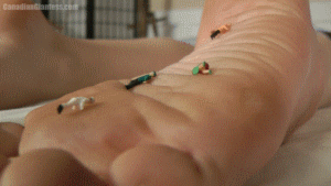 This was an additional video created during the same video shoot we started our "Unaware Micro People" series in. Unlike other videos in the series, this one specifically just focuses on Lauren's soft soles and contains all new footage. Several micro people are on Lauren's foot as her big toe from the other foot wanders over to find out what is tickling her sole. Silent and unaware, Lauren pokes around with her toe looking for whatever is on her foot. They roll off, find themselves squished under her big toe, or even find themselves grabbed by her other toes after they fall! This one focuses specifically on micro adventure upon Lauren's beautiful soles. No music, no talking, just the sound of Lauren's shuffling feet on the bed.
