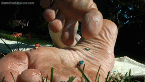 If you're especially a fan of SammiiLynn's plush soles, this video is a treat for you. It's a little slower than real time in most of the scenes, but still holds a smooth 30fps. This is so you can see the plushness of her hands and feet in scenes where tiny micros find themselves at the unaware mercy of Sammii's wandering fingers and toes. Finally at the end Sammii wakes up and for those unfortunate micro people still on her towel, she assumes they're bugs and stomps them out before going back to rest.