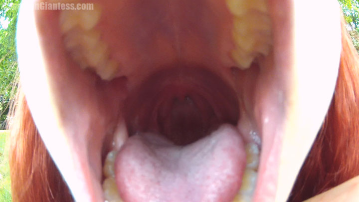 If you've been waiting to get eaten by Shelle-Chii, this POV is for you! It's also the 500th Canadian Giantess release! You sneak up on her at the park, checking out her feet which tower above you. Shortly into exploring at her soles, she notices you and flips right around eager to talk to you. It turns out, Shelle-Chii has always wanted to eat a little person, and you really like the idea too! Of course she's happy to hear this and gives you lots of great views inside of her mouth which are taken use a POV camera to capture wide angle views. Shelle-Chii then gulps you down and rubs her tummy a little overtop of her dress contently.
