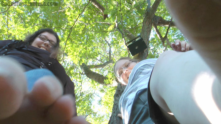 These two girls were bored at work until kat spots a tiny guy in the grass. Not knowing much about them, kat fills her in. Of course, by now kat is pretty cruel and sees them as nothing but bugs to have fun with underfoot. Minoune is shocked and tries to explain to her friend that they're still people, but kat dismisses the idea and encourages her friend to step on the tiny guy. Lots of great dialogue in a story that shows just how helpless tiny people are when no one cares about them.
