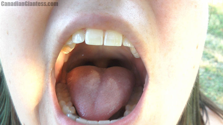 Like so many others, the Canadian Giantess fans have spoken and Kitty is a HUGE fan favorite! This one features our latest CGI throat scene, falling down backwards this time looking up, and a brief tummy splash down. She originally thinks he is a bug but then realize it's actually a tiny person trying to get her attention. Kitty quickly begins to wonder what he'd taste like though and starts showing off her mouth to him! She even gives him a couple tiny licks. After eating him she has some indigestion and burps a few times, trying to contain her prey inside her tummy. Kitty's style is quite fun as she laughs at the tiny person she plans to eat up!
