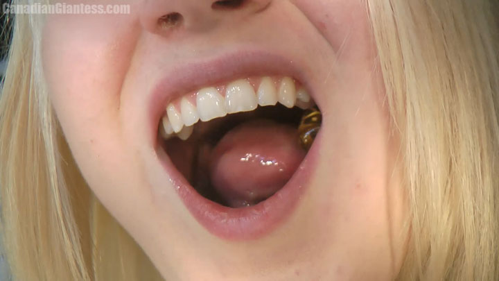 In this final vore vid featuring Sara Sundae, she has a bunch of people from school in the palm of her hand. Featuring a great selection of advanced slow-mo scenes as they're tormented by her mouth as she plays around with them. Sucked between her lips, squeezed between her teeth, and lolled around on her tongue, no one stands a chance of surviving against her.
