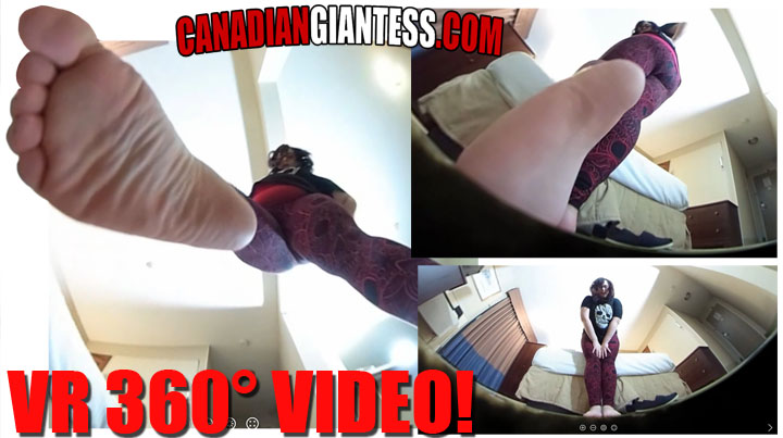 Experience Auden in a whole new way! You've adored those beautiful feet that have squished you so many times before. Now, look around in this new 360' VR video and experience what it's really like to be a petrified bug on the floor before Auden! Including booming footstep sounds, an in shoe intro, and of course all that delicious dialogue you've come to love Auden for. The story focuses on a tiny guy found in Auden's shoe whom she takes out and then considers stepping on as she paces around him. She's late to go out with her friend though, so your little game of cat and mouse comes to an end as she squashes you underfoot.
<br><br>
You don't need a VR Headset to watch our VR videos (but it makes it cooler of course) Instead you can use the free basic desktop viewer on: https://theta360.com/en/support/download/ You can also use Google Cardboard and a Cardboard enabled VR player.
<br><br>
<strong><span style="color: #ff0000;">The future is here! Get squished by it!</strong></span>