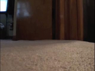 How on earth did you manage to shrink yourself and your car? Further more, why are you spying on me while I change?? Youre lucky that I think youre cute, otherwise, I might squash you like a little bug since youre so tiny! Instead of being mean though, I think Ill play with you and keep you as my little pet! You can go inside my shoe and give me a massage...then Ill keep you warm in my bra where you can roll around and pleasure me. Ill kiss you and hide you in my panties where you can wiggle around all day....If all that stuff sounds like fun to you, then you came to the right place! This clip features POV, toy car and figureine play. Enjoy my cute little love slave. 
