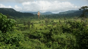 The Same Customer that ordered the first jungle love wanted to add some stuff this time. At the beginning Keri is in the jungle and a sacrifice who was left on a cliff is waiting and Keri captures him then walks away with him, then it cuts to later and Keri is bigger and the little guy got away and she is looking for him for the rest of the video. This is a gentle Giantess video and Keri does not kill anyone,  Her only Crime is kidnapping, love and maybe some minor property damage but she leave the city pretty much intact.  The customer wanted to have much POV as possible so the city scene is mostly pov shots and allot of from window shots.  At the end Keri does find her man and it ends with a POV from the mans point of view as Keri carries him around the city.  As opposed the first Jungle love Keri talks normally and talks allot. The customer only wanted 10min but we got carried away having a blast shooting this so he would up getting 26 minutes
<br>
<p style="text-align: center;"><span style="font-size: large; color: #ff0000;"><em><strong><a href="../vod/customs/"><span style="color: #ff0000;">Click here to go to<br />our Custom Video Request Page</span></a></strong></em></span>