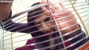 This was a custom video were Brandy is your wife and she has you in a cage and she has to leave to go out for bit and you go to sleep but are awoken by her friend Blondzilla that always hated you Blondzilla messes with you a bit then puts you in her shirt and proceeds to carry you to her house.  At her house she gives you a beating with her fingers and hands then makes you kiss her boots and climb them as well. She also makes you kiss and rub her feet then begins to sit on you and also puts you between her boobs. she kicks you around as well then after she is bored of you she takes you back to your house and you are relieved but little did you know they were both in on it together and your shrinking was not an accident but part of bigger plan they have to shrink all men but they are bored with you and Brandy lets Blondzilla help her divorce you by crushing you slowly,  First one leg then your other leg then you arm and after that your other arm then she puts her heal through your torso then she finally crushes your head.  Some sound and Blood FX were added. 
