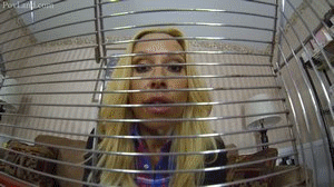 This was a Custom Video<br> 
Blondezilla plays my mother who has shrunk me and left me in a cage as punishment for allegedly stealing my aunt Darenzia's underwear. Blondezilla refuses to unshrink me until I tell her where I hid the underwear. Blondezilla teases me in my cage, somewhat enjoying having me at bug size. She contemplates keeping me this way but before she makes a decision, she has to leave for work. While sheâ€™s away, Darenzia will be looking after me.<br> 
As soon as Blondezilla leaves, Darenzia begins to toy with me in my cage. She finds it amusing to have her nephew being so small. She tells me that she knows how to unshrink me but will only do so if I do as she says. This includes me stripping, worshiping her feet, climbing up her body and being used as a seat cushion, all the while with her taking photos of it with her phone. She originally says the photos are for herself but eventually reveals that she plans on sending them to my mother, lying that I volunteered for all of the acts and that I like being a bug.  Again she promises not to do it if I do what she says. This time she wants me to jerk off to her giant glory. As incentive sheâ€™ll let me look up her skirt the whole time. As Iâ€™m forced to jerk, she reveals that the underwear she accused me of stealing is actually the underwear sheâ€™s wearing now, and that she wanted my mom to shrink me all along. After her taking more photos of my humiliation and me cumming, she tells me sheâ€™s already sent all the photos and that my mother plans on crushing me when she gets home. I try to flee but Darenzia easily catches me and stuffs me back into my cage to await my demise.
<br> 
Cut to Blondezillaâ€™s return, Blondzilla teases me through the bars, looking forward to squishing me like a bug. She takes me out and demonstrates her power over me, making me lick the bottom of her shoe and threatening to stomp me. She slowly crushes parts of me until finally finishing me off me off.
<br>
when we shot this I decided to give the customer two versions of the slow crush at the end so you will see on barefoot then the alternate ending with shoes on..
<br>
<p style="text-align: center;"><span style="font-size: large; color: #ff0000;"><em><strong><a href="../vod/customs/"><span style="color: #ff0000;">Click here to go to<br />Our Custom Video Request Page</span></a></strong></em></span><p>
