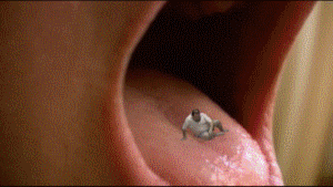 Combined several of my most popular sfx vore clips into this one 37 minute clip. Features Cali, Kim, Candle, Betty, Leah, Lucy, Gretchen, Danielle, Nikki and many more! 
